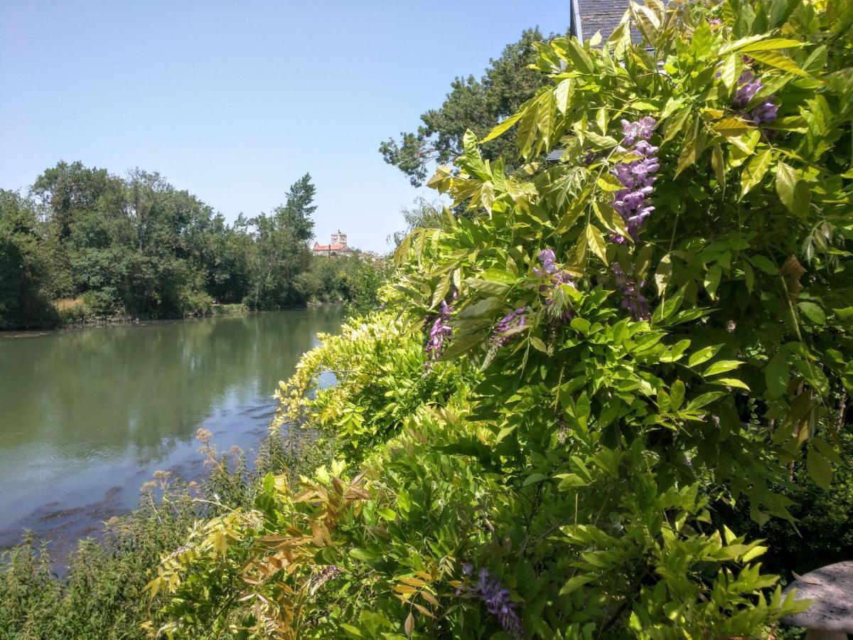 Saint-Savinien Quai Des Fleurs Bed & Breakfast エクステリア 写真