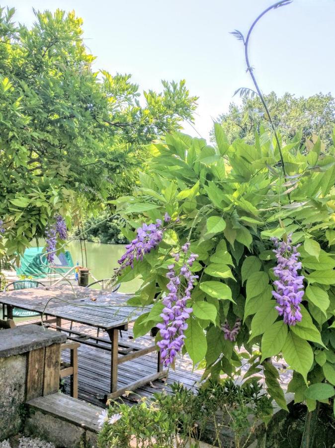 Saint-Savinien Quai Des Fleurs Bed & Breakfast エクステリア 写真
